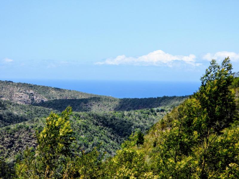 0 Bedroom Property for Sale in Hoekwil Western Cape